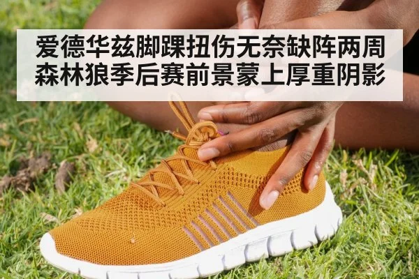 爱德华兹脚踝扭伤无奈缺阵两周 森林狼季后赛前景蒙上厚重阴影